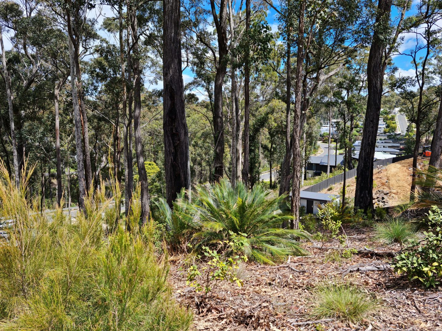 58 Bellbird Drive, Malua Bay NSW 2536, Image 1