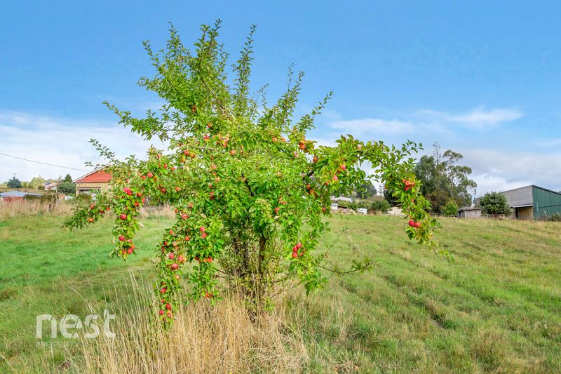 Duke Street, Geeveston TAS 7116, Image 1