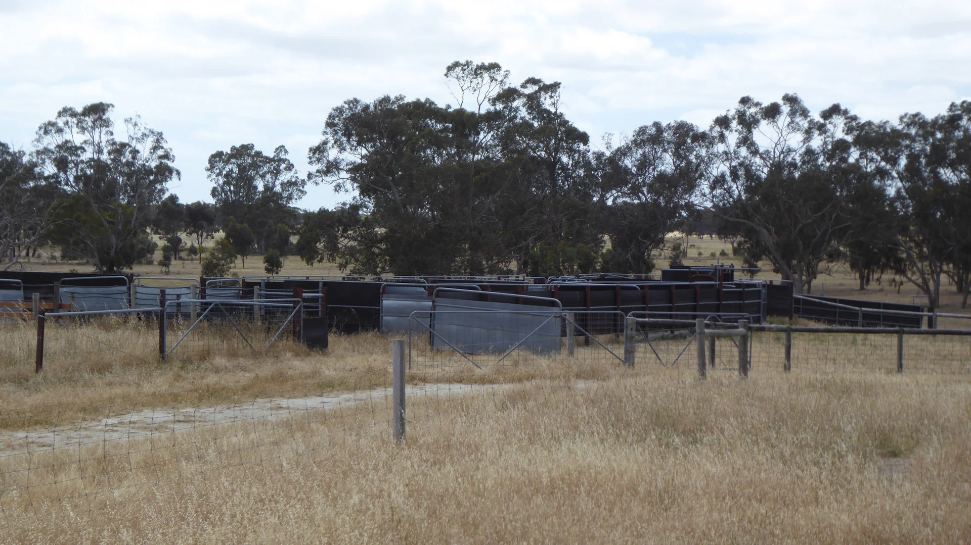 Image 15