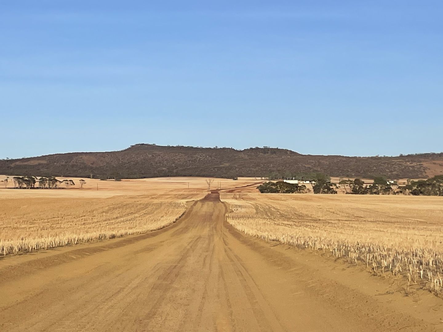 Wongan Hills WA 6603 House for Sale Domain