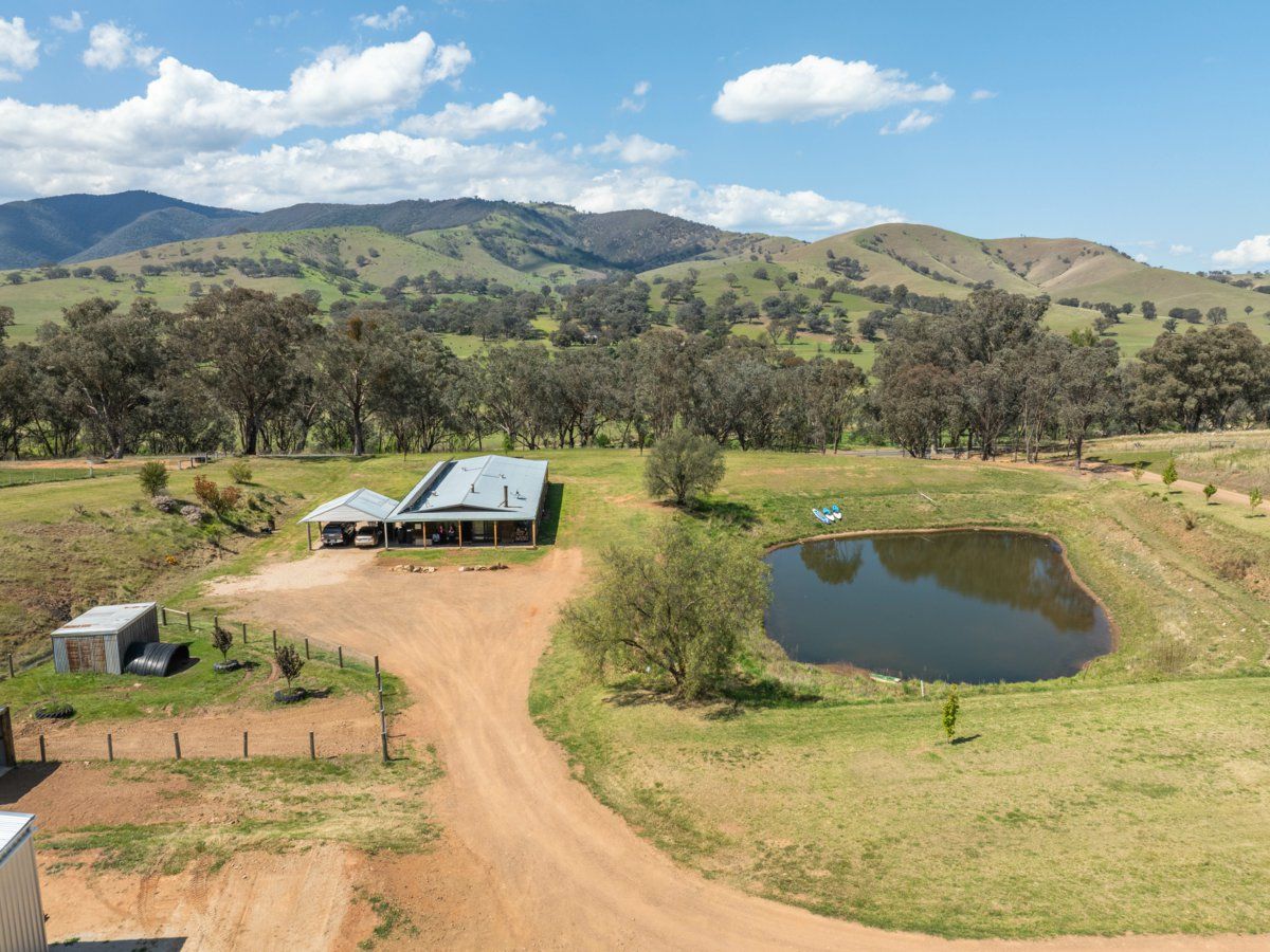 7415 Great Alpine Road, Swifts Creek VIC 3896 - House for Sale - $985,000