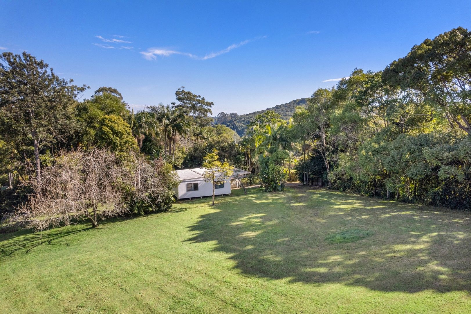 9 Gittoes Lane, Possum Creek NSW 2479, Image 0