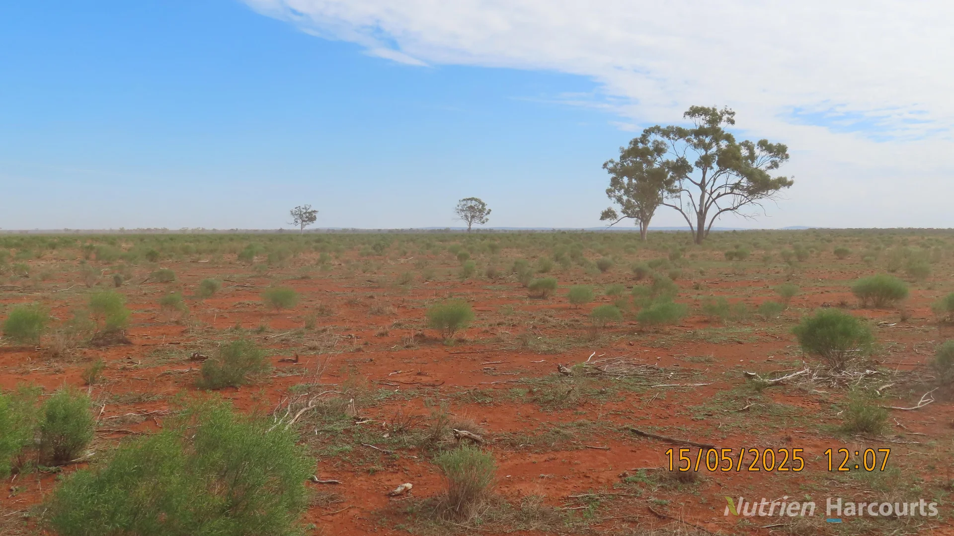 Additional image 10 of * CABLE DOWNS, Cobar NSW 2835