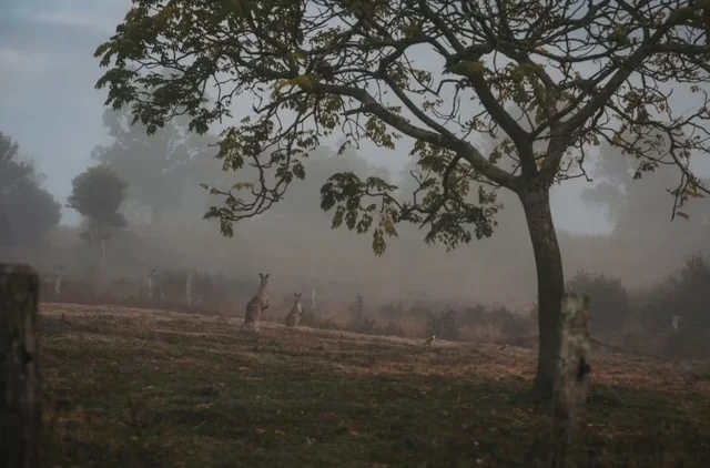 Additional image 81 of 103 Rural Road, Nanango QLD 4615