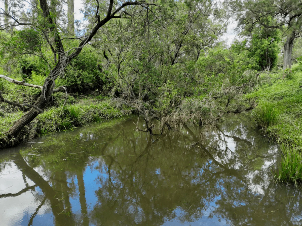 Image 10