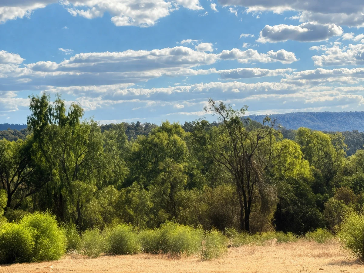 Additional image 6 of 8 Parish Avenue, Gunnedah NSW 2380