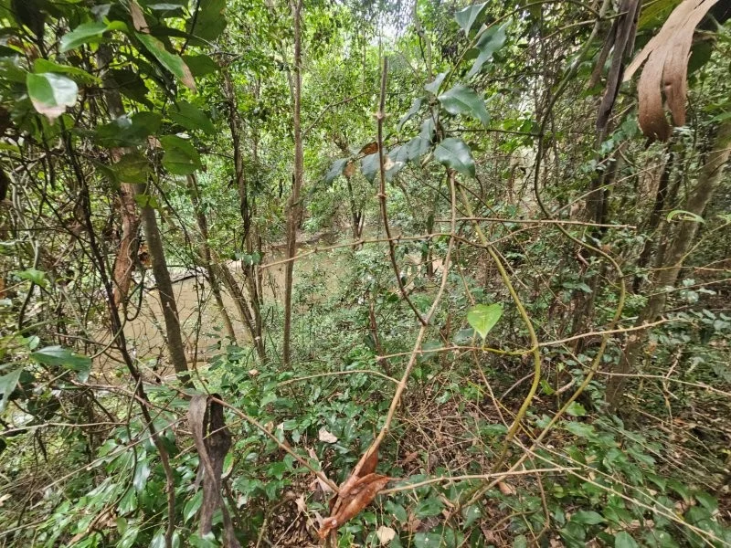 Image 14