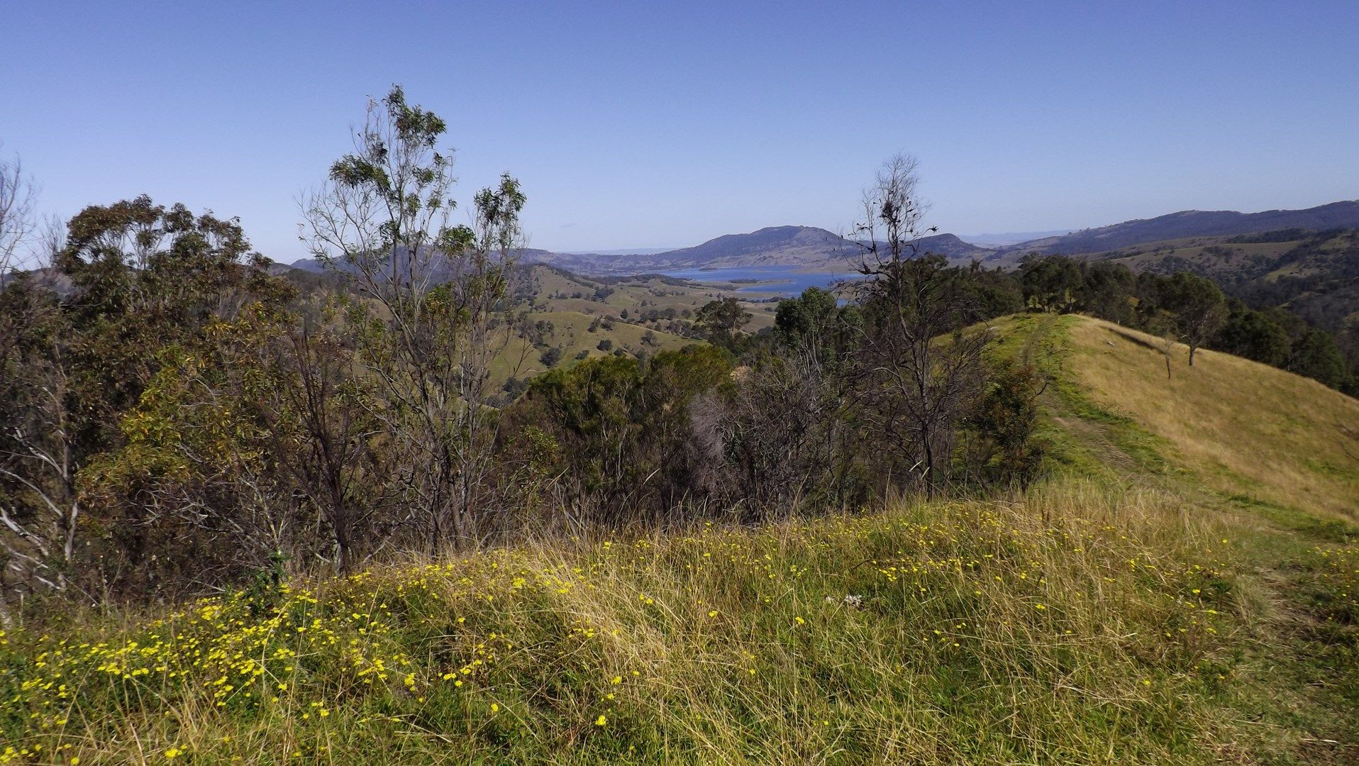 Off Carrowbrook Road, Singleton NSW 2330, Image 0