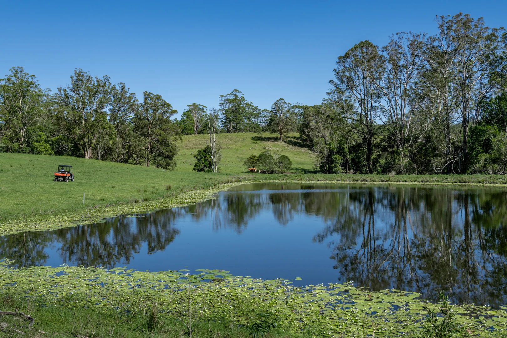 Image 21