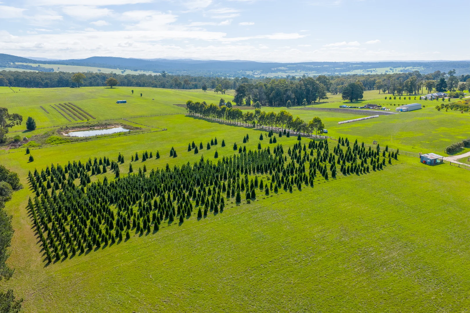 Additional image 2 of 185 McNamaras Road, Sarsfield VIC 3875