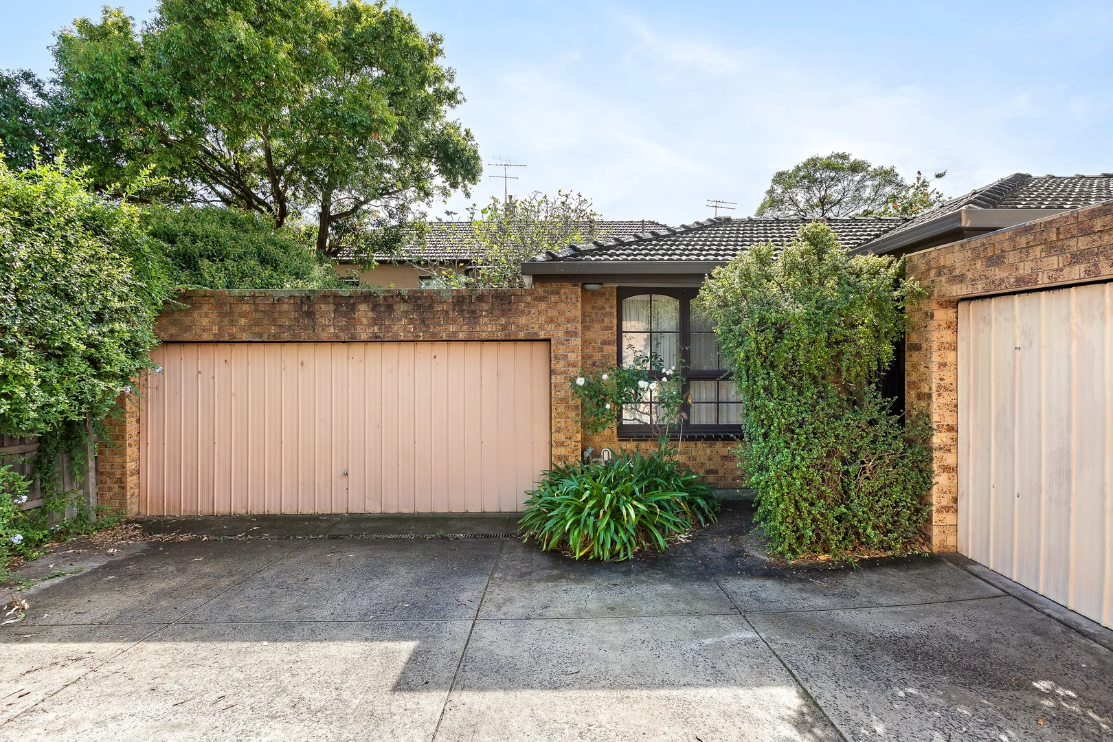 3/41 Campbell Road, Hawthorn East VIC 3123