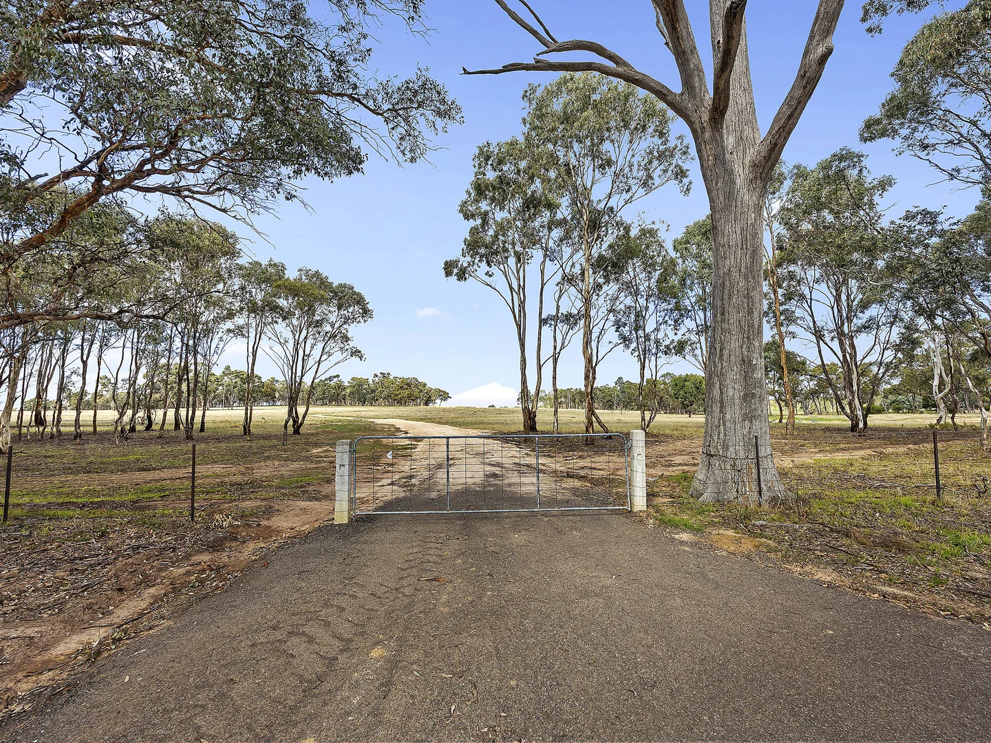 Additional image 4 of 227 Mannes Lane, Axe Creek VIC 3551