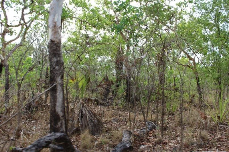 Image 14