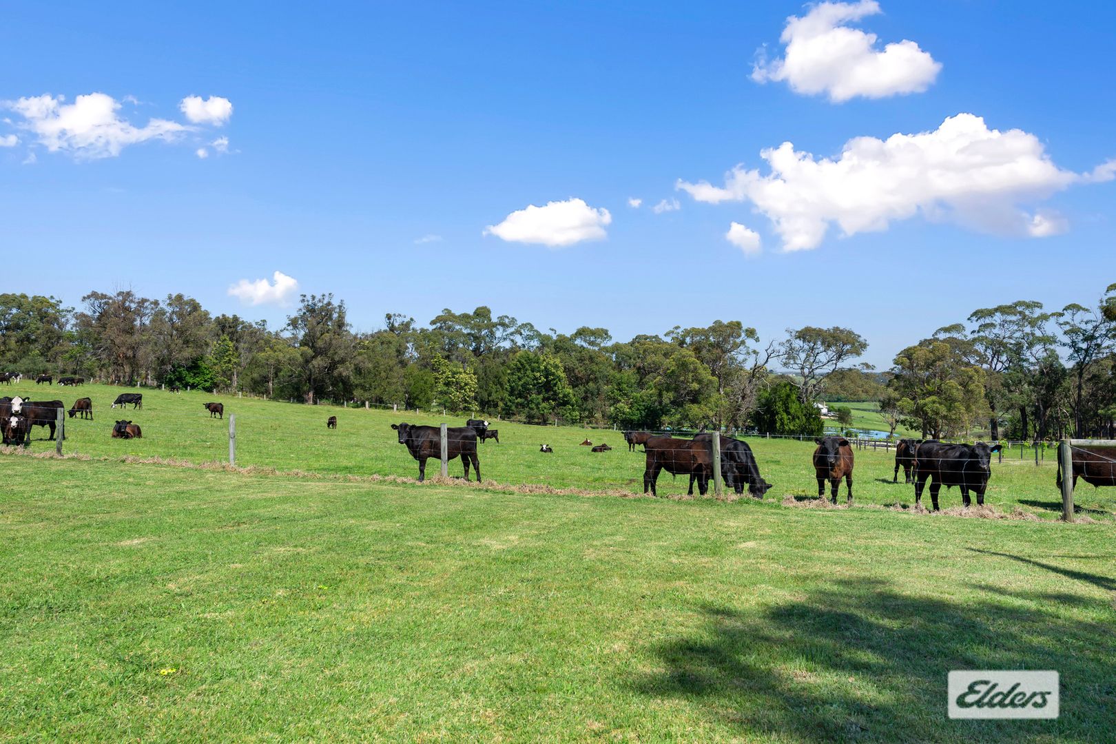 75 Rosherville Road, Swan Reach VIC 3903 House for Sale 2,788,000