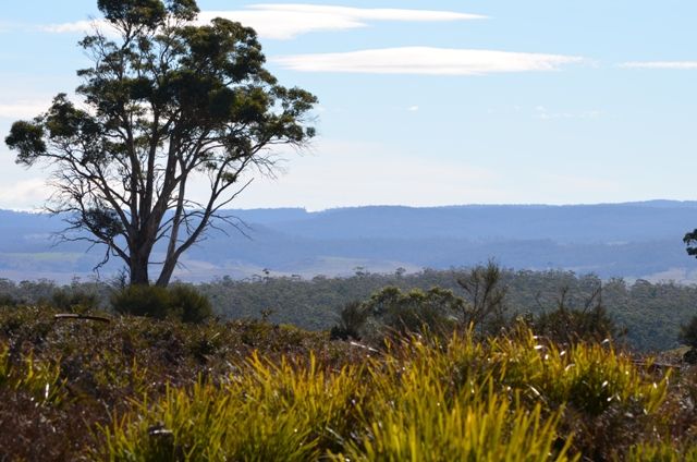 00 Tunnack Road, Parattah TAS 7120, Image 1