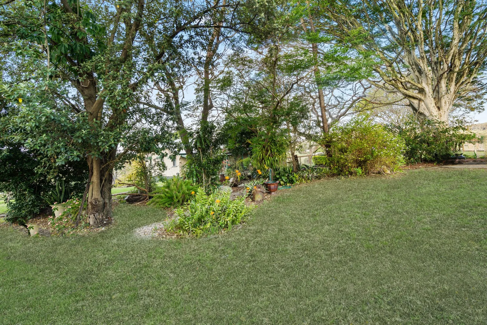 Image 27