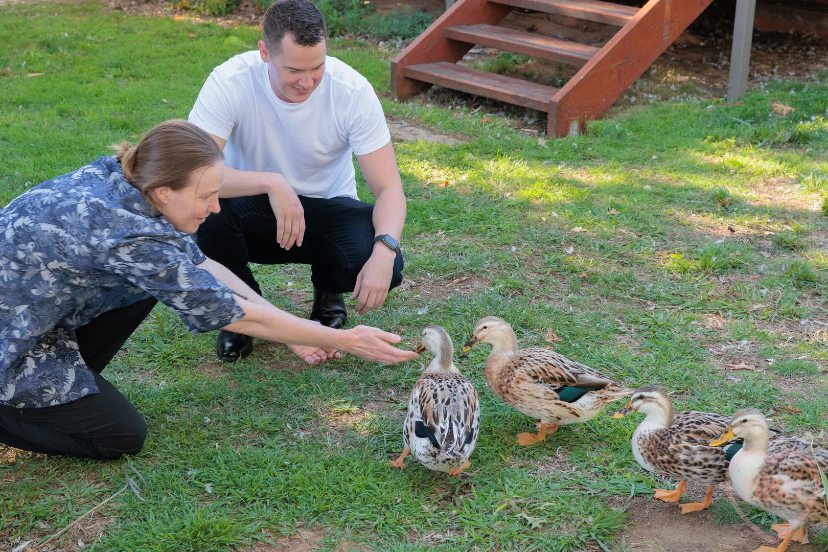 Additional image 27 of 6 Dobbie Place, Watson ACT 2602