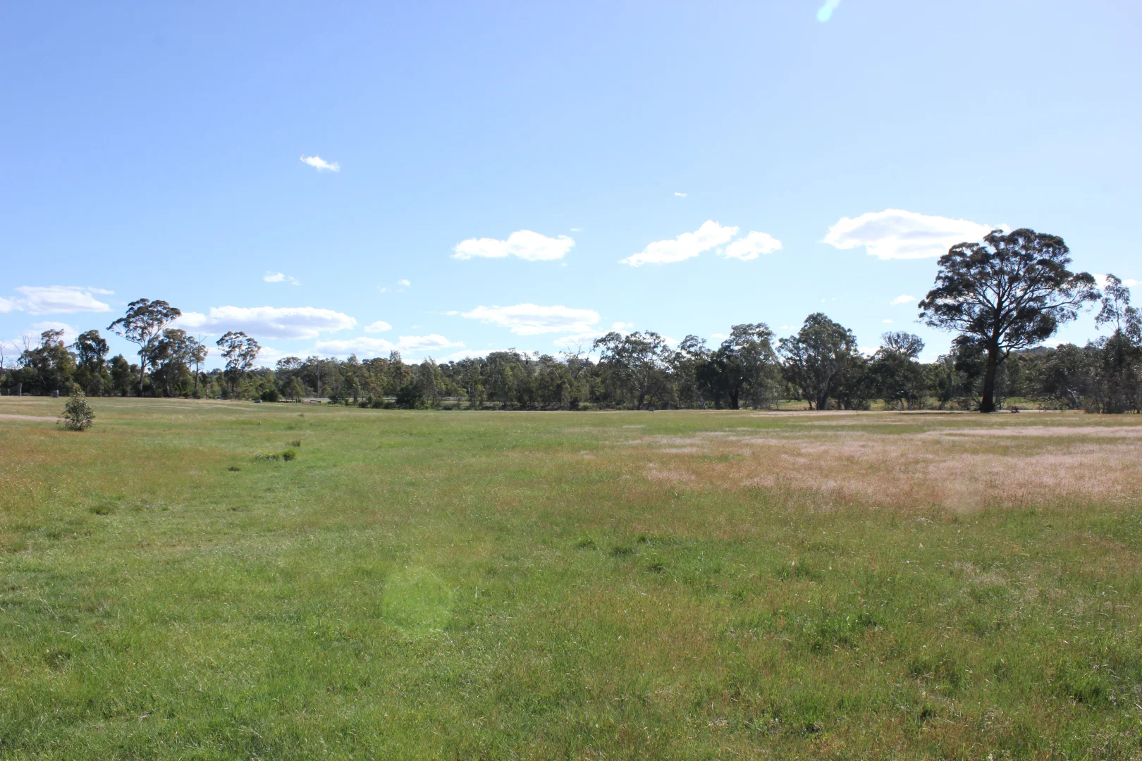 Image 13