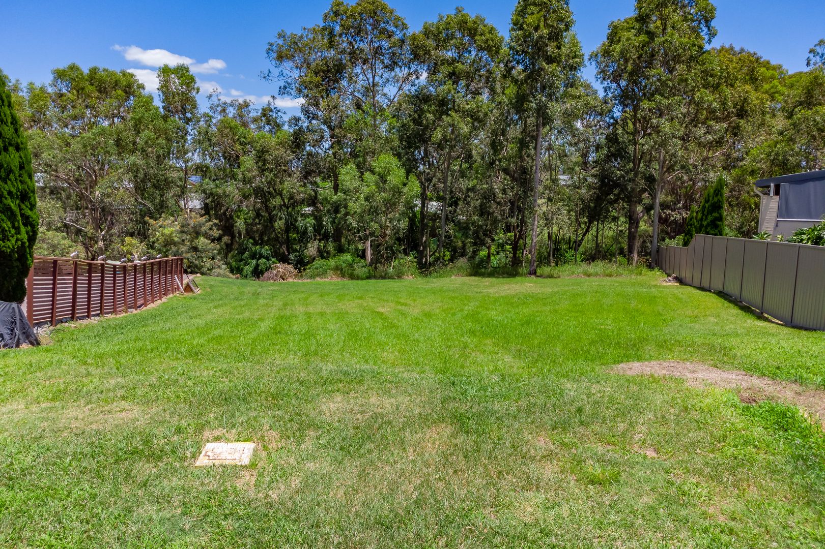 6 Knox Close, Singleton NSW 2330, Image 2