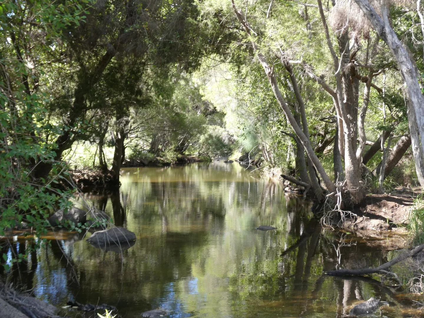 Additional image 18 of L63 & L99 Summers Road, Ginoondan QLD 4625