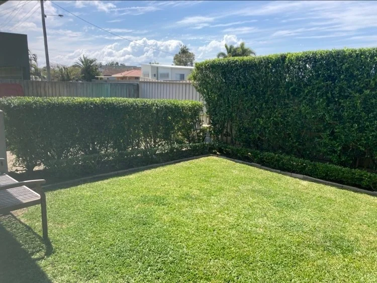 Additional image 26 of 56 Oomoo Street, Buddina QLD 4575