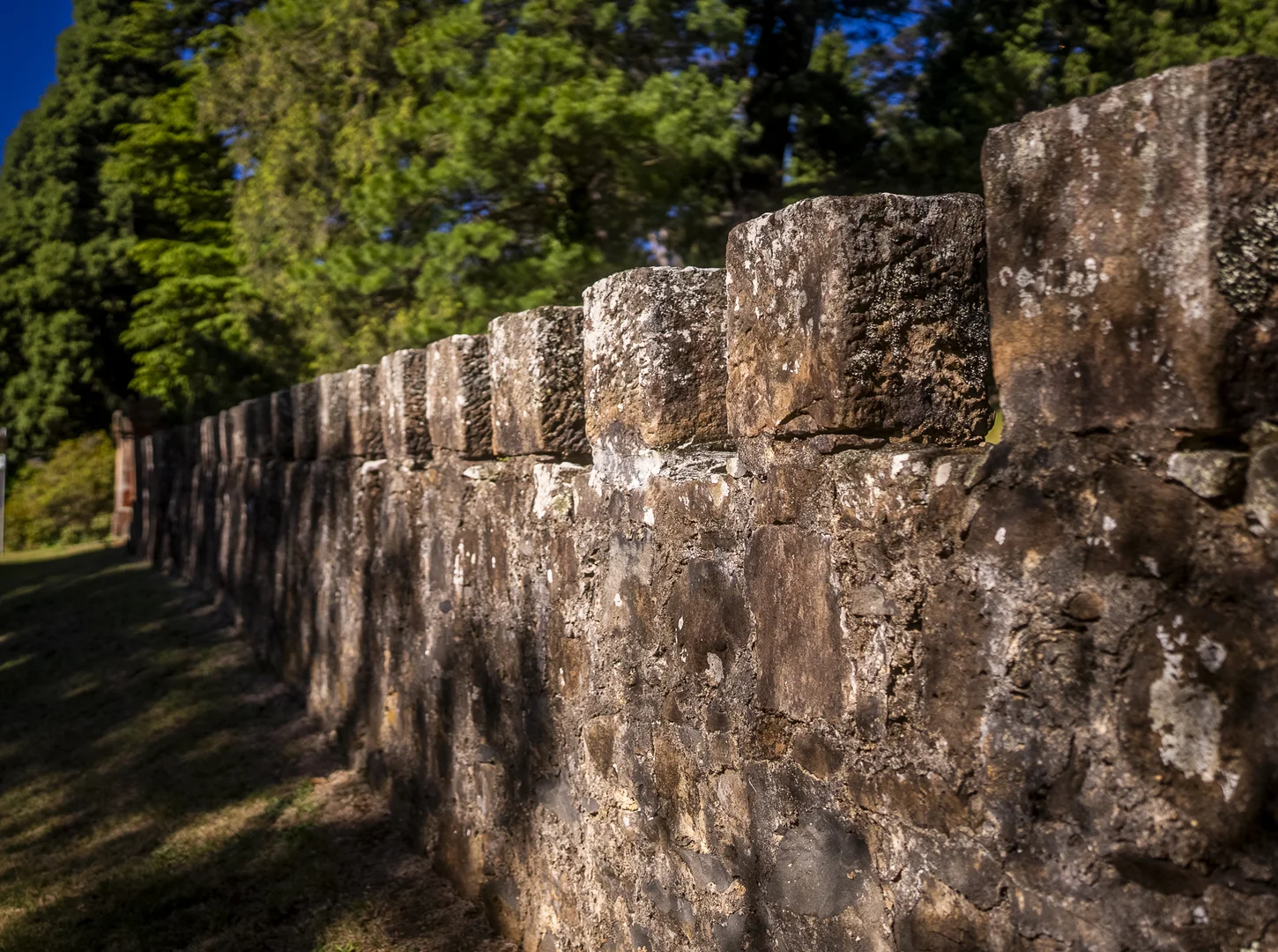 Additional image 12 of 68 - 76 Mount Irvine Road, Mount Wilson NSW 2786