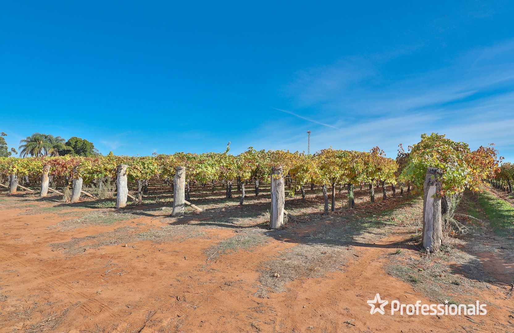 431 Woomera Avenue, Red Cliffs VIC 3496, Image 2