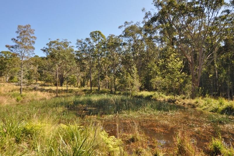 Lot 252 Warrell Waters Estate, Gumma NSW 2447, Image 1