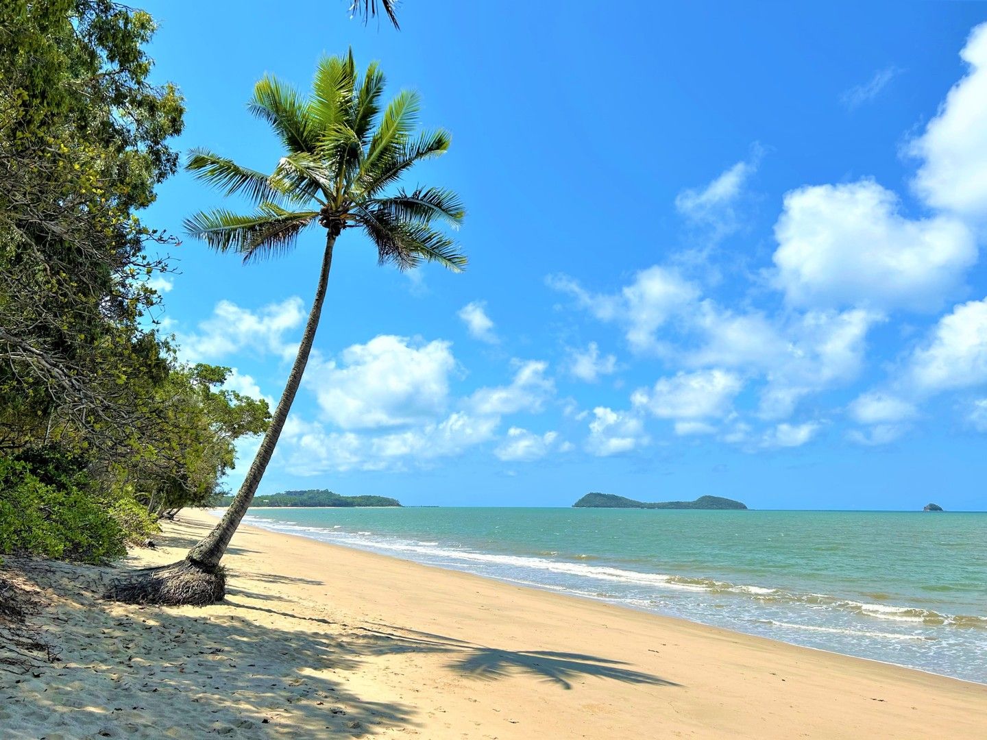 2 bedrooms Apartment / Unit / Flat in LEVEL 2 at 95 Arlington Esplanade CLIFTON BEACH QLD, 4879