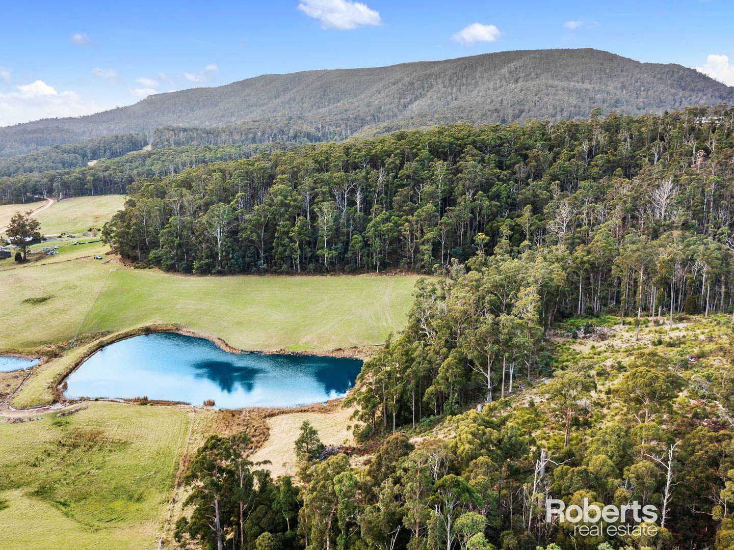 72 Hills Road, Gray TAS 7215, Image 2