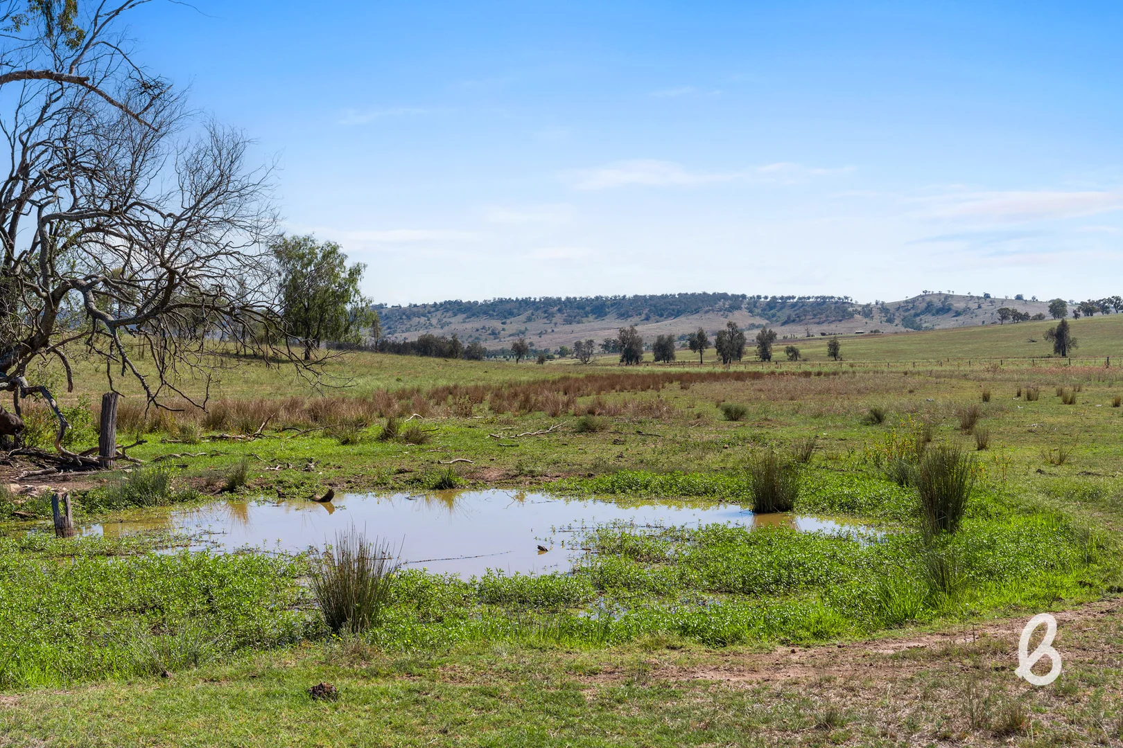 Additional image 37 of Lot 12 Redmanvale Road, Jerrys Plains NSW 2330