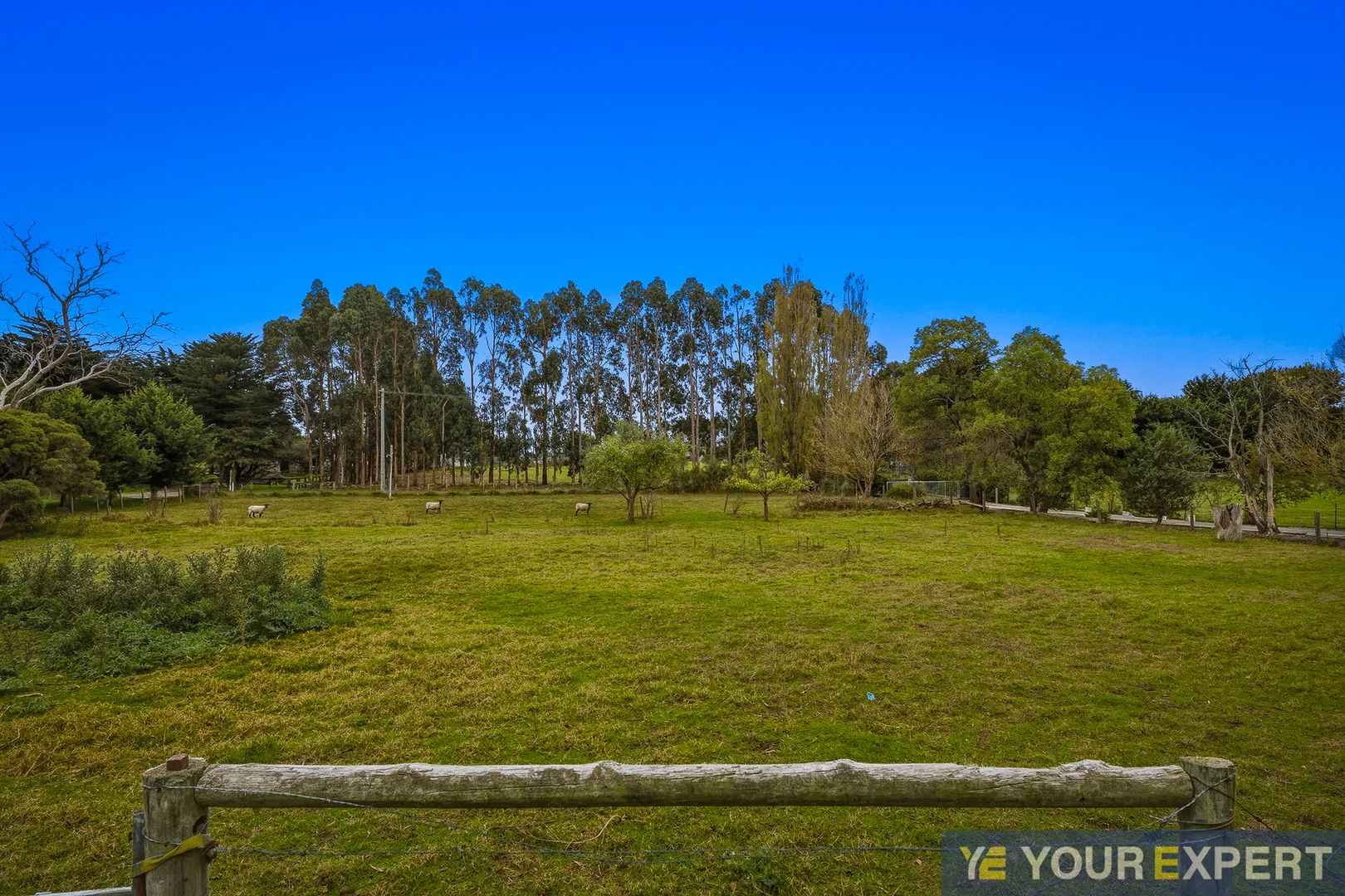 Additional image 19 of 8 Olive Road, Devon Meadows VIC 3977