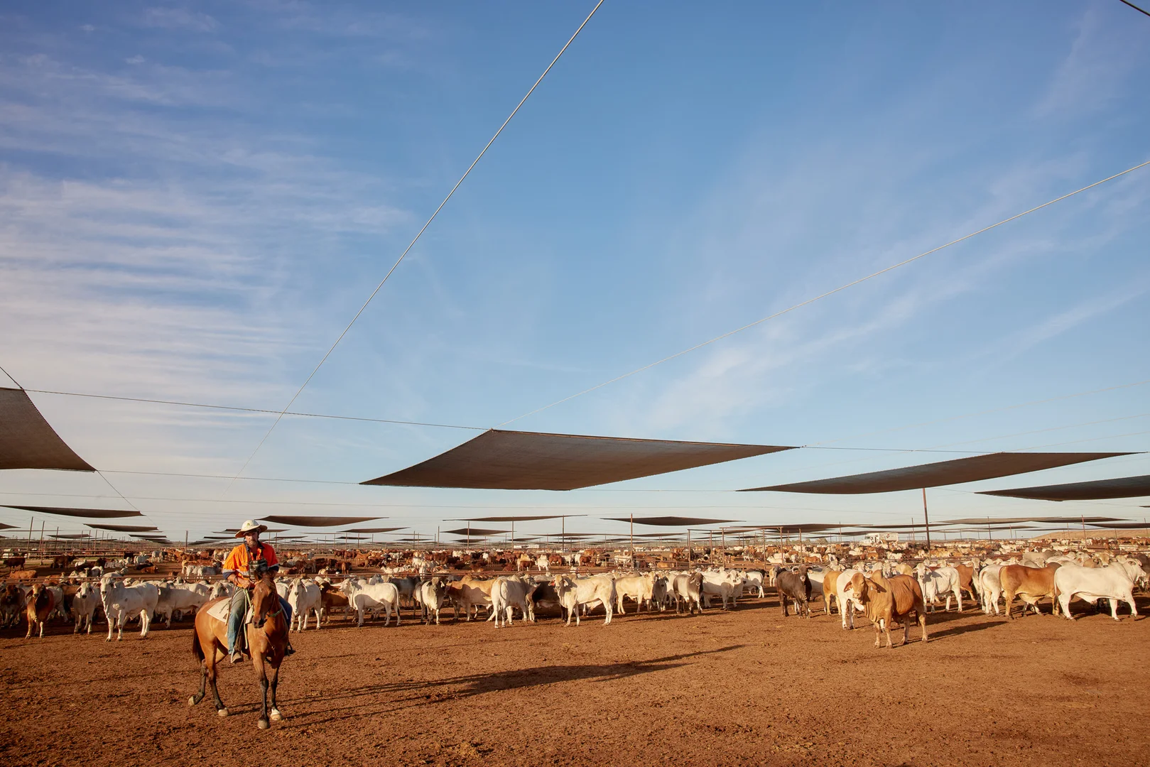 Additional image 6 of 556 Grassdale Road, Springvale QLD 4405