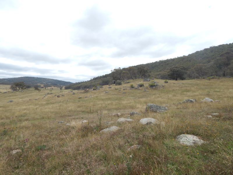 Lot 33/35 Callemondah Road, Shannons Flat NSW 2630, Image 1