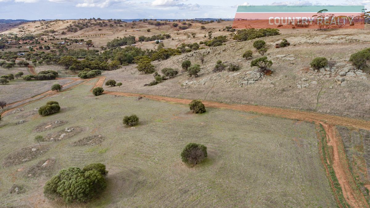 75 Nockdominie Road, Dumbarton, Toodyay WA 6566 Domain