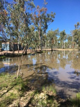 Picture of Lot 71 Redgum Road, DUCKLO QLD 4405