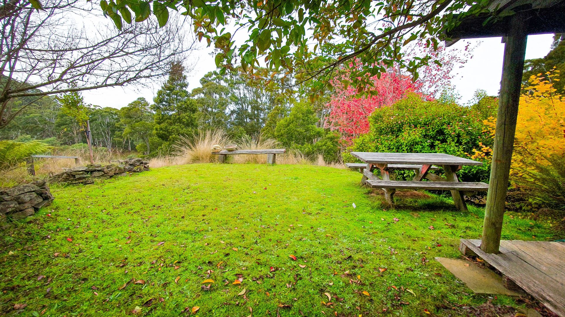 21 Walhalla Road, Aberfeldy VIC 3825, Image 1