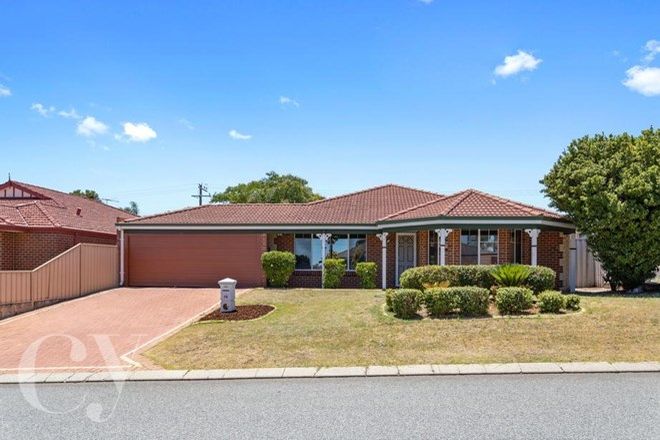 77 Rental Properties In Cockburn Central Wa 6164 Domain