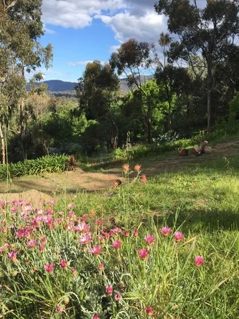 Additional image 36 of 8345 Goulburn Valley Highway, Trawool VIC 3660