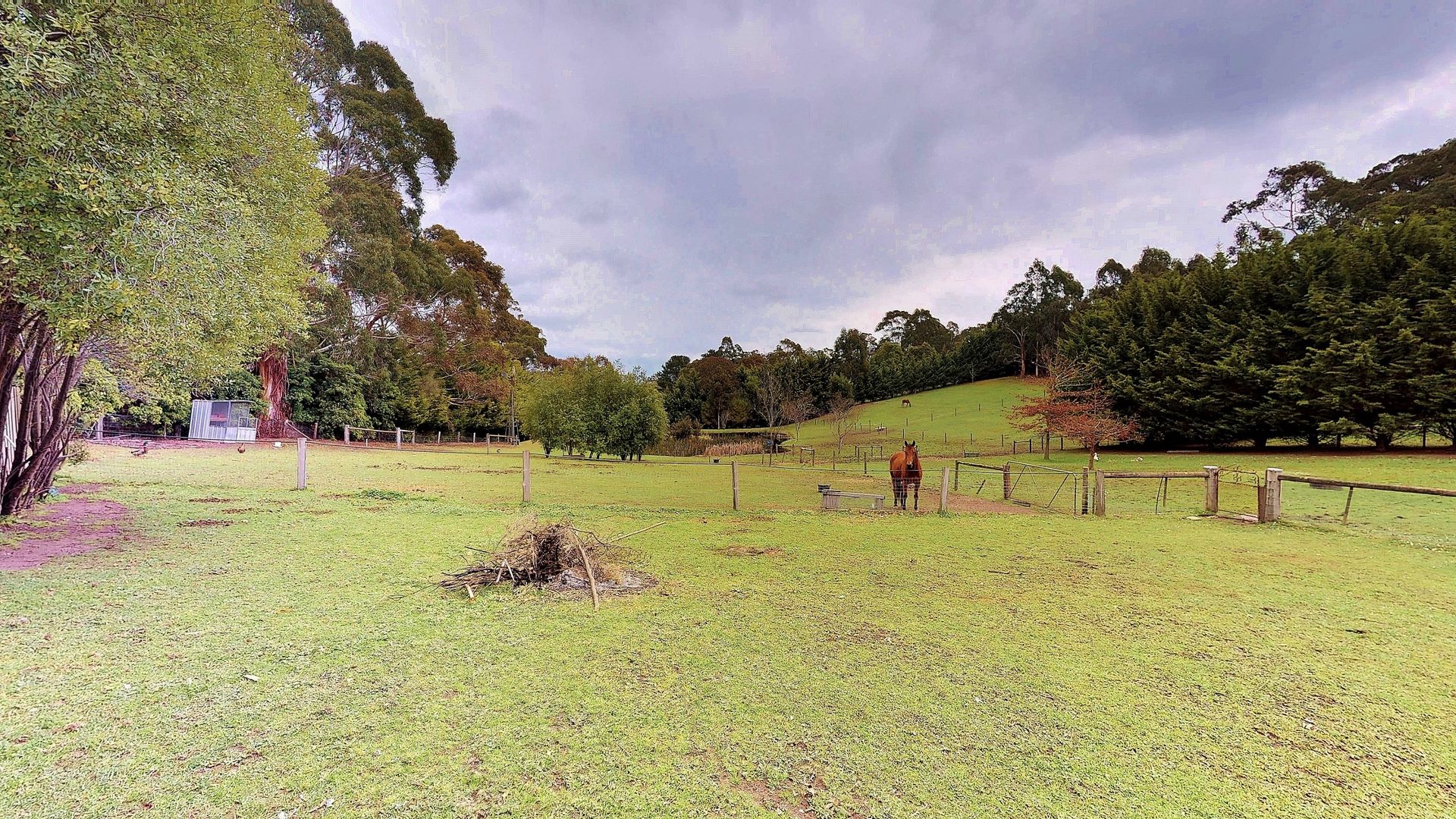 310 Thomson Road, Hazelwood South VIC 3840, Image 1