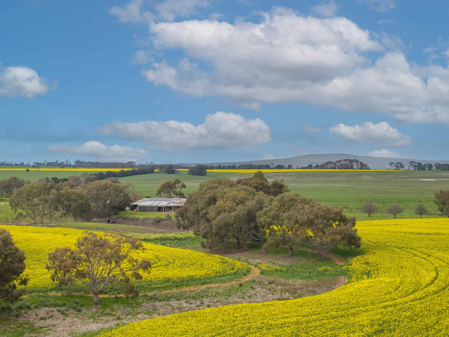 Image 25