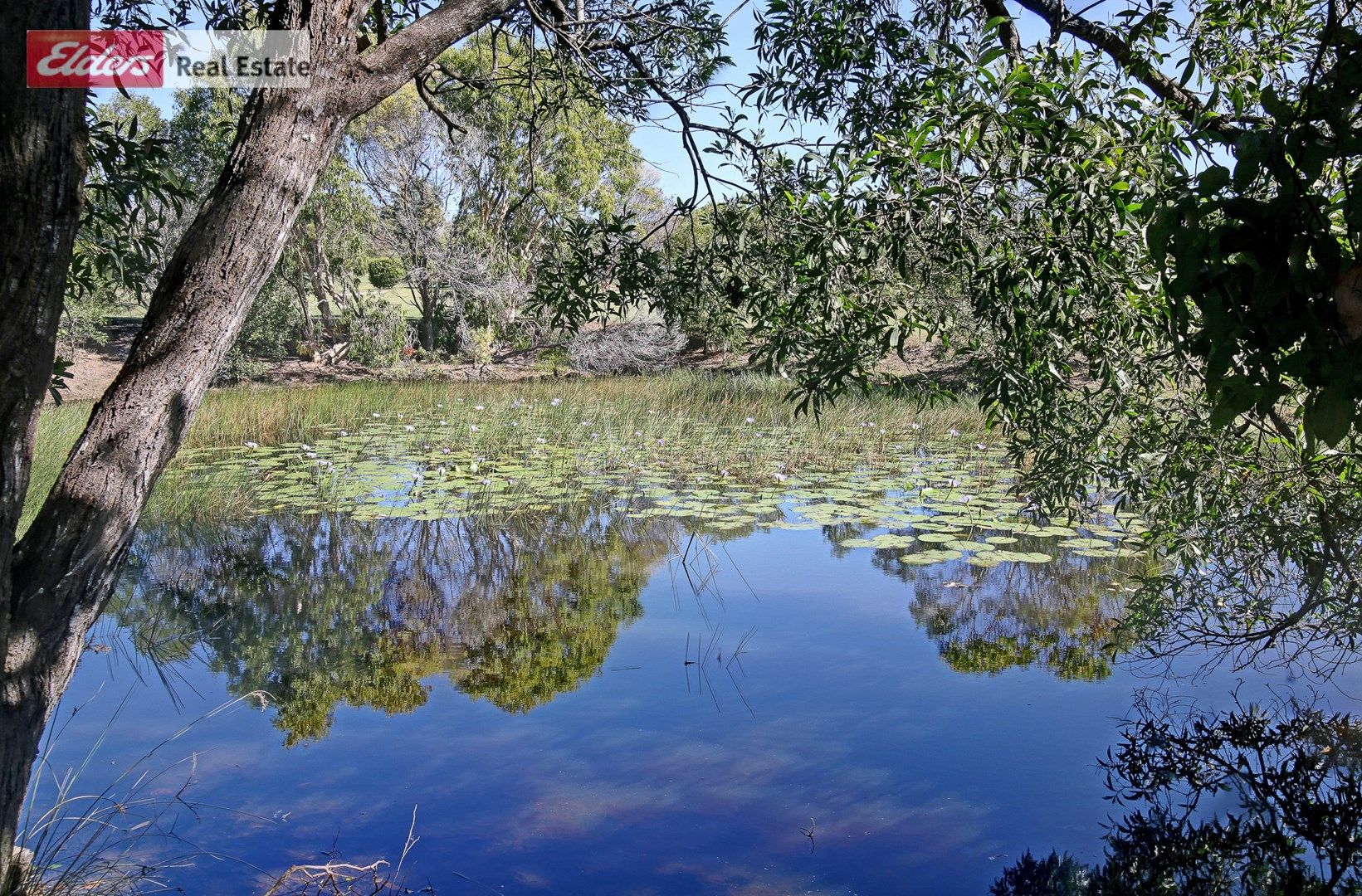 6 Sanctuary Hills Road, Takura QLD 4655, Image 0