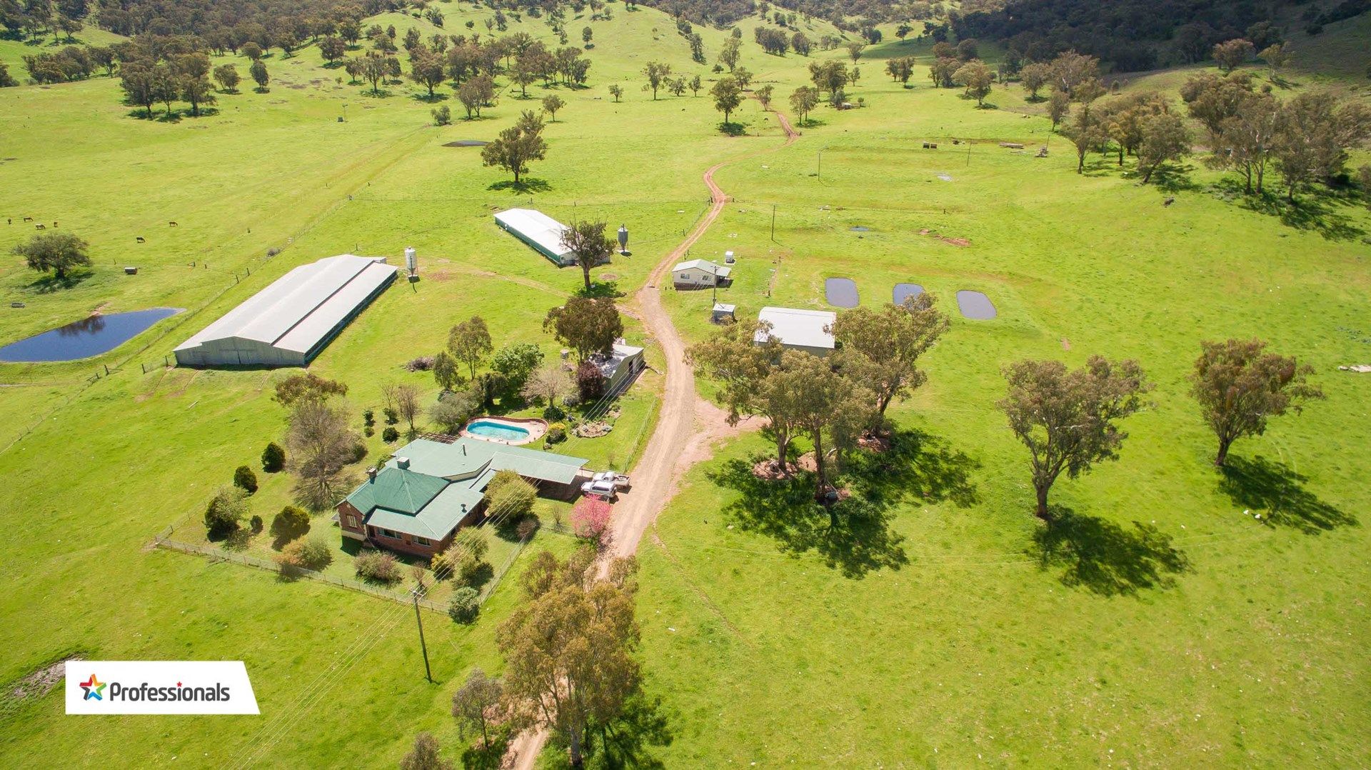 39 Ogunbil Road, Dungowan NSW 2340, Image 0