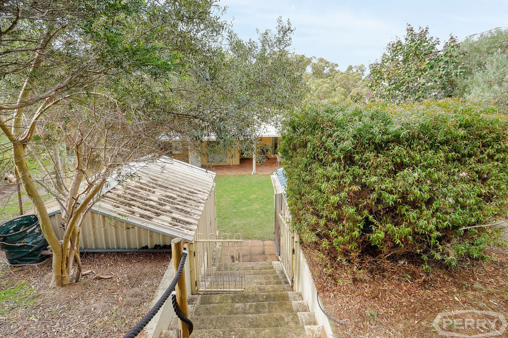 Image 25