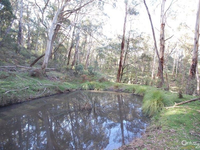 Lot 1 Lot 16 Langs Road, Wombeyan Caves NSW 2580, Image 1