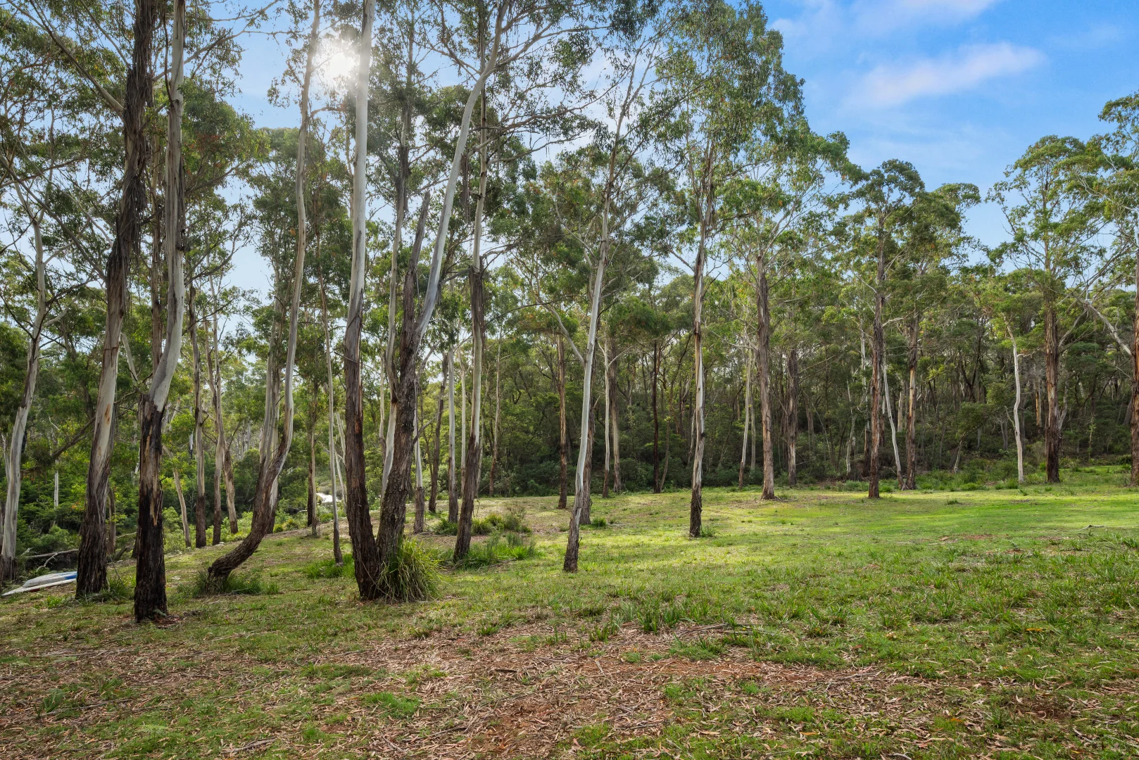 Additional image 34 of 497 Northangera Road, Braidwood NSW 2622