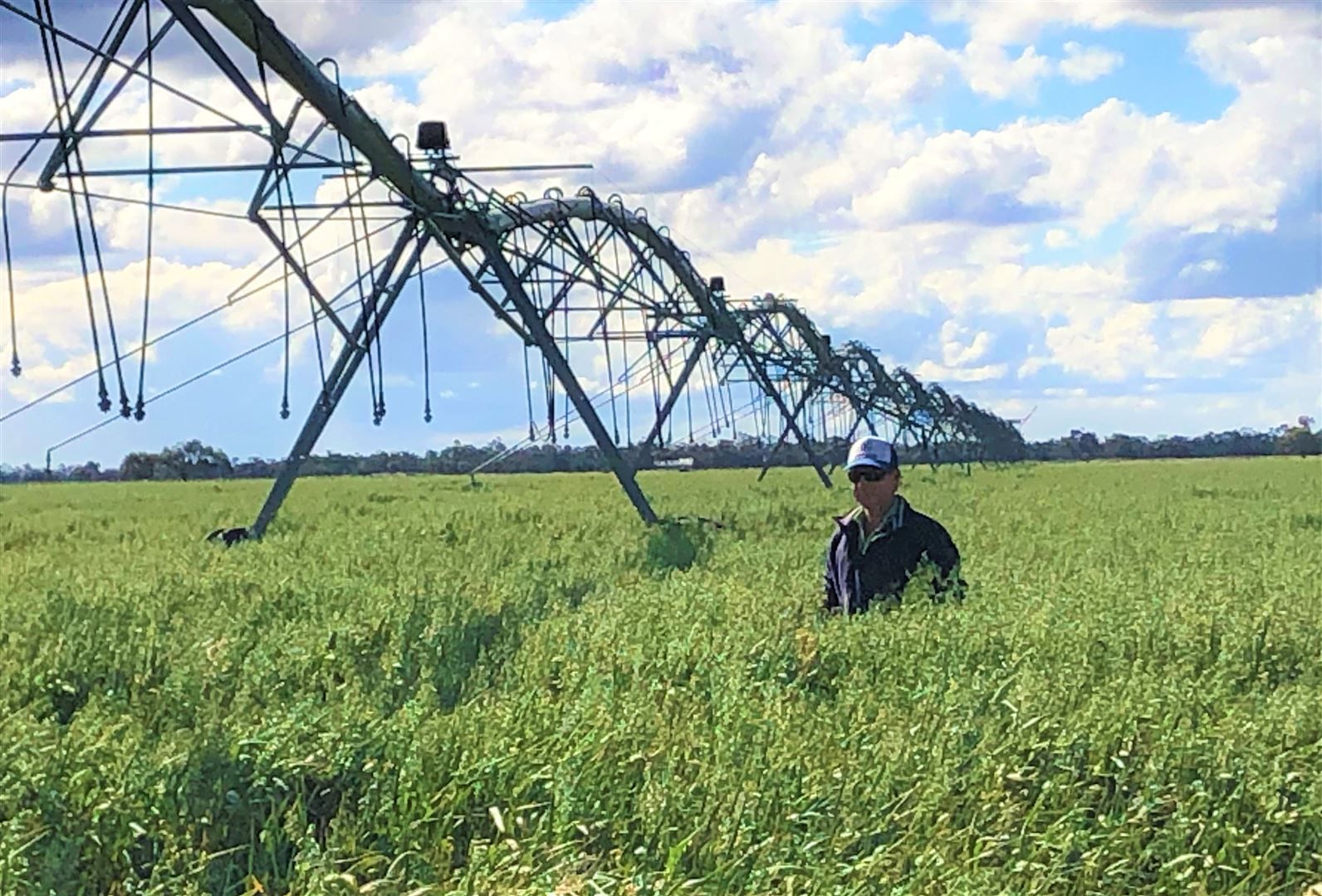 "Netherby" Cobb Hwy, Deniliquin NSW 2710, Image 2