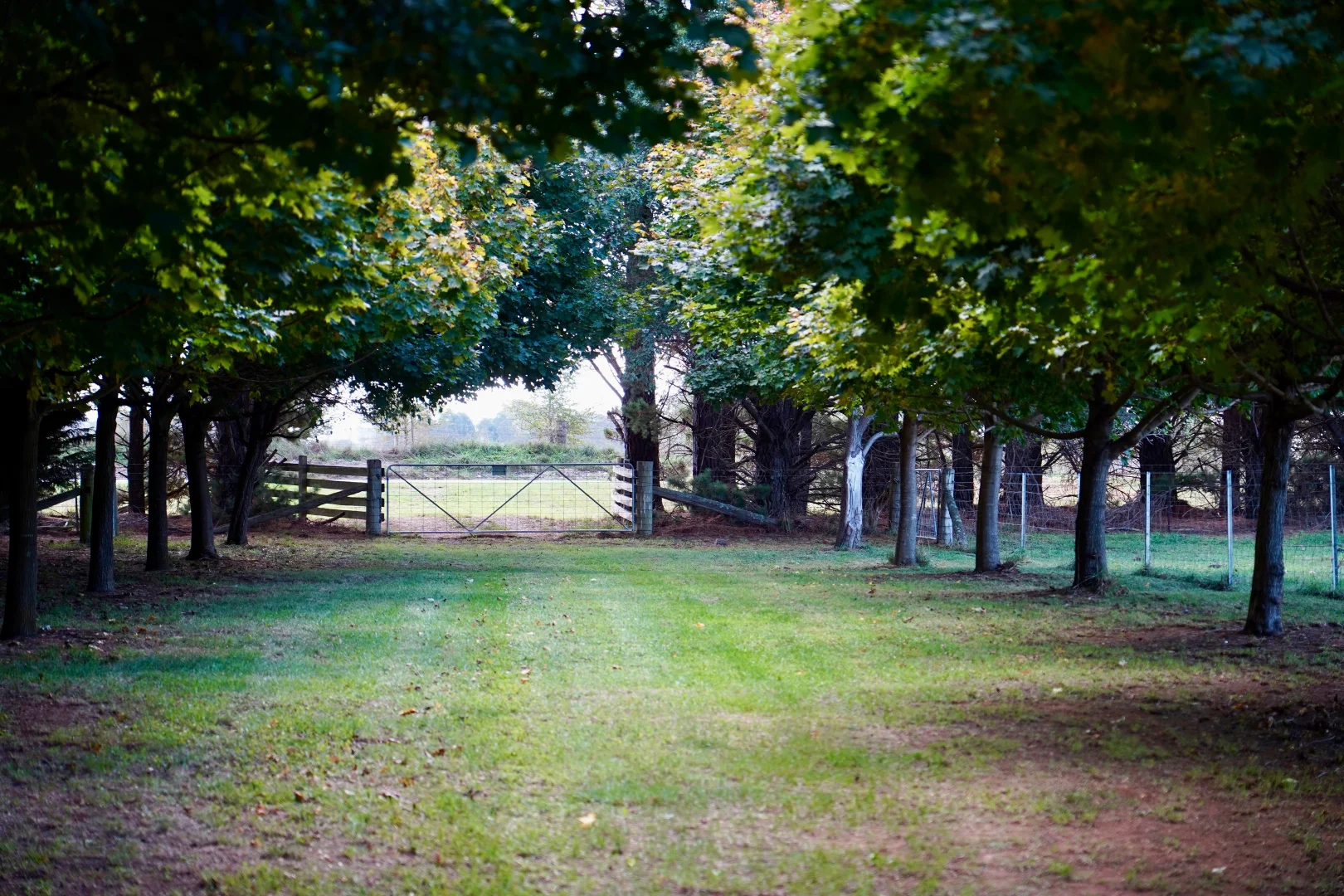 Additional image 21 of 383 Mozart Road, Mozart NSW 2787