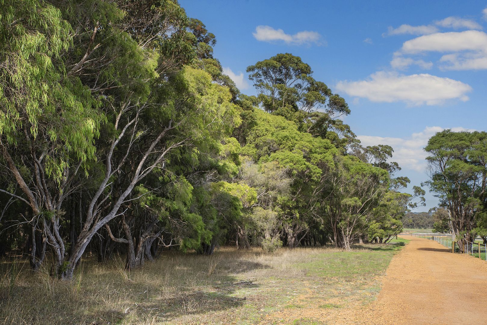 PL 338 Firetail Rise, Karridale WA 6288, Image 2