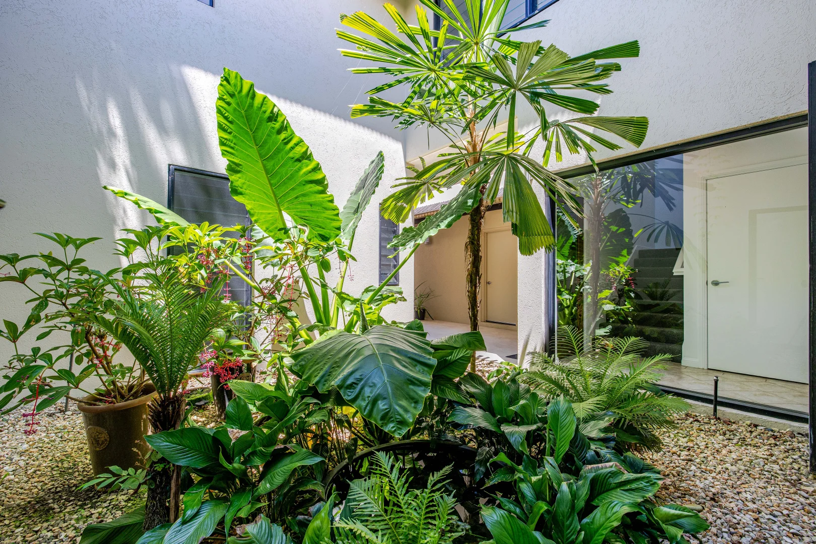 Additional image 14 of 10/11-17 St Crispins Avenue, Port Douglas QLD 4877
